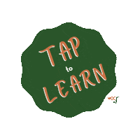 Interested Coral Sticker by VCC Foundation