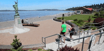 Washington State GIF by 50statesproject