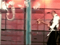 Year Celebrate GIF
