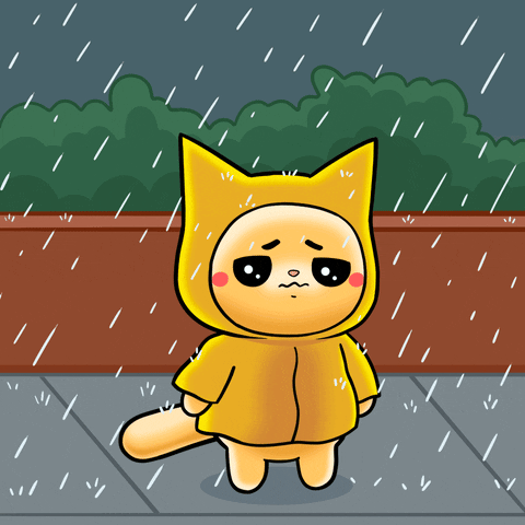 Mochimons emotional mochi sad cat wet cat GIF