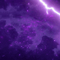 Kolkata Knight Riders Ipl GIF by Knight Riders Sports