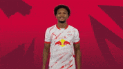 Sport Celebration GIF by RB Leipzig