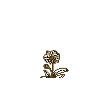 Natusparfum Sticker by Naturales Brasil