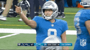 Detroit Lions Football GIF by NFL
