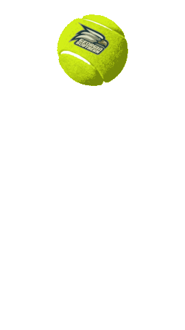 Georgia Southern Tennis Sticker by Georgia Southern University - Auxiliary Services