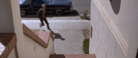 hold it sci fi GIF by Warner Archive