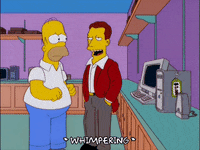 homer simpson episode 6 GIF