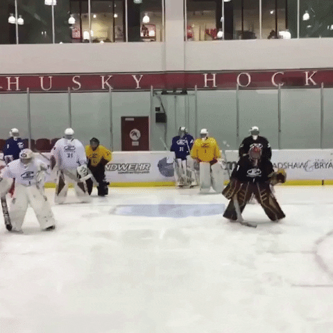 USAHockey hockey usa hockey goalies youth hockey GIF