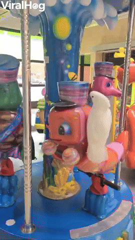 Curious Birds Enjoy Carousel Ride