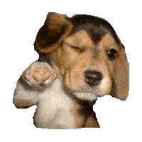 Good Morning Hello Sticker by imoji