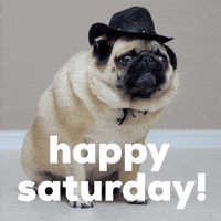 Happy Saturday!