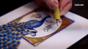 viceland GIF by MOST EXPENSIVEST