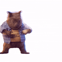 Dance Slide GIF by Compare the Market