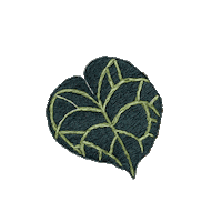 Embroidery Bordado Sticker by bemmimosa