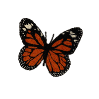 bemmimosa butterfly embroidery moth mariposa Sticker