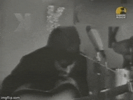 this is so weird set me free GIF