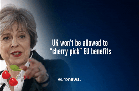 euronews giphygifmaker brexit theresa may cherry picking GIF