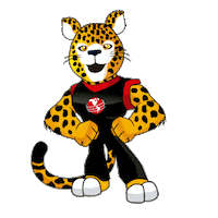 camericamontessori universidad jaguar unica unicajaguar Sticker