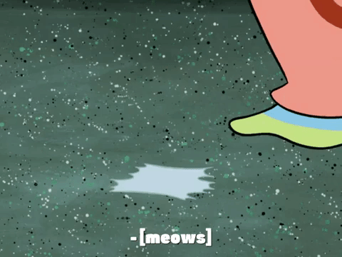 season 7 episode 13 GIF by SpongeBob SquarePants