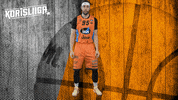 Basketball Hoops GIF by Basket_fi