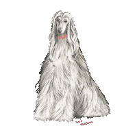 nui_tateiwa dog 犬 いぬ inu Sticker