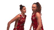Emote Celebrar Sticker by Basket 2000 SanGiorgio