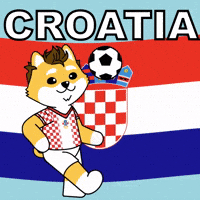 Luka Modric Soccer GIF by Dogelon Mars