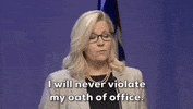 Liz Cheney Gop GIF by GIPHY News