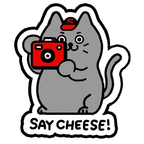 Say Cheese Cat Photography Sticker by Sandisk