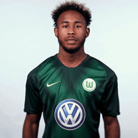 Football Soccer GIF by VfL Wolfsburg