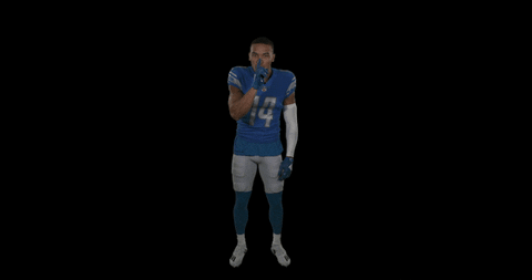 St Brown Football GIF by Detroit Lions