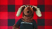 Canadian GIF by choose.ca
