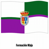 Bandera Andalucia GIF by Formación Ninja