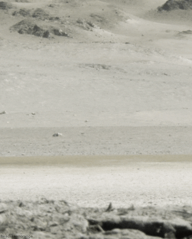 page GIF by Cheezburger