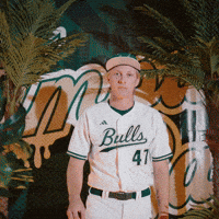 South Florida Baseball GIF by USF Athletics