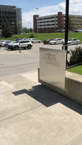Guelph-Humber giphyupload GIF