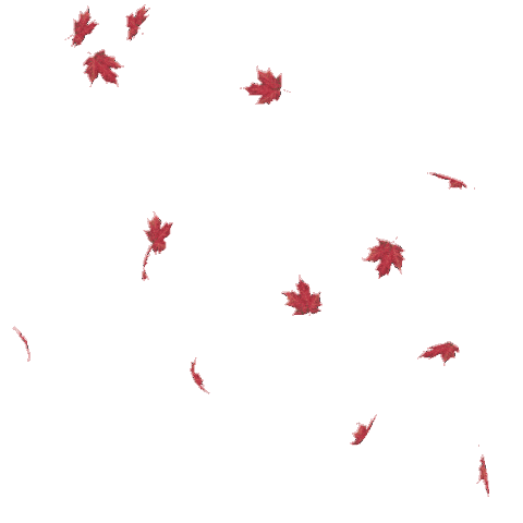 fall autumn Sticker by DP Animation Maker