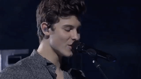 shawn mendes GIF by 2017 MTV Video Music Awards