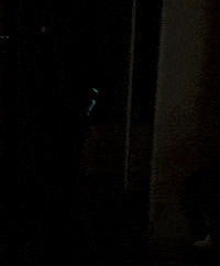 AlexsFirew hacker chroma key alexs alexsdesig GIF