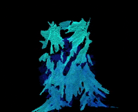 C-H-E-M-I-C-A-L GIF by The Chemical Brothers