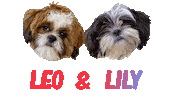 Dog Leo Sticker