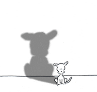 chippythedog chippythedog GIF