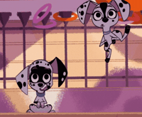 Dog Bouncing GIF