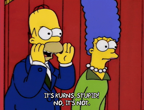 homer simpson GIF