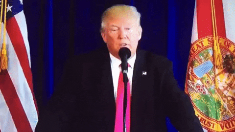 Video gif. Donald Trump stands at a microphone between American flags and slowly lifts his pointer finger before gradually pointing it towards us.