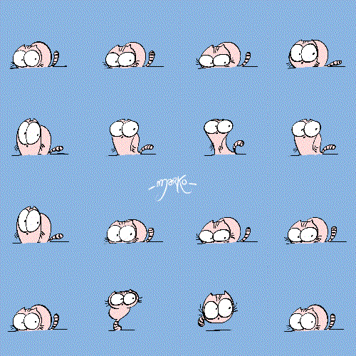 cats GIF by marko