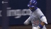 Chicago Cubs GIF by MLB