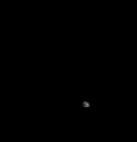 Noone Cares Honda GIF