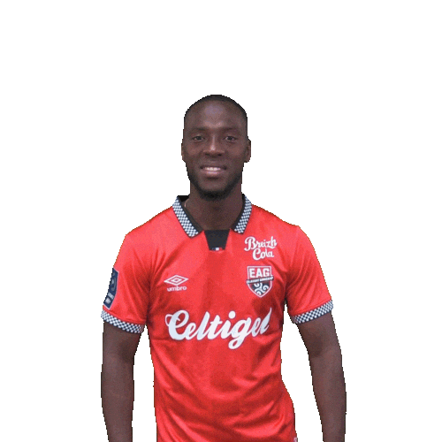 Football Footy Sticker by EA Guingamp