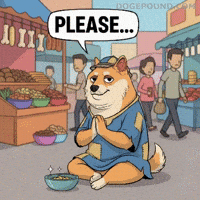 Shiba Inu Please GIF by Doge Pound